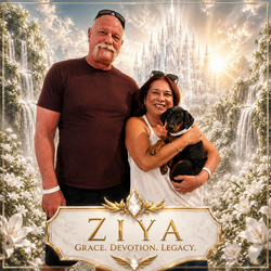 Ziya