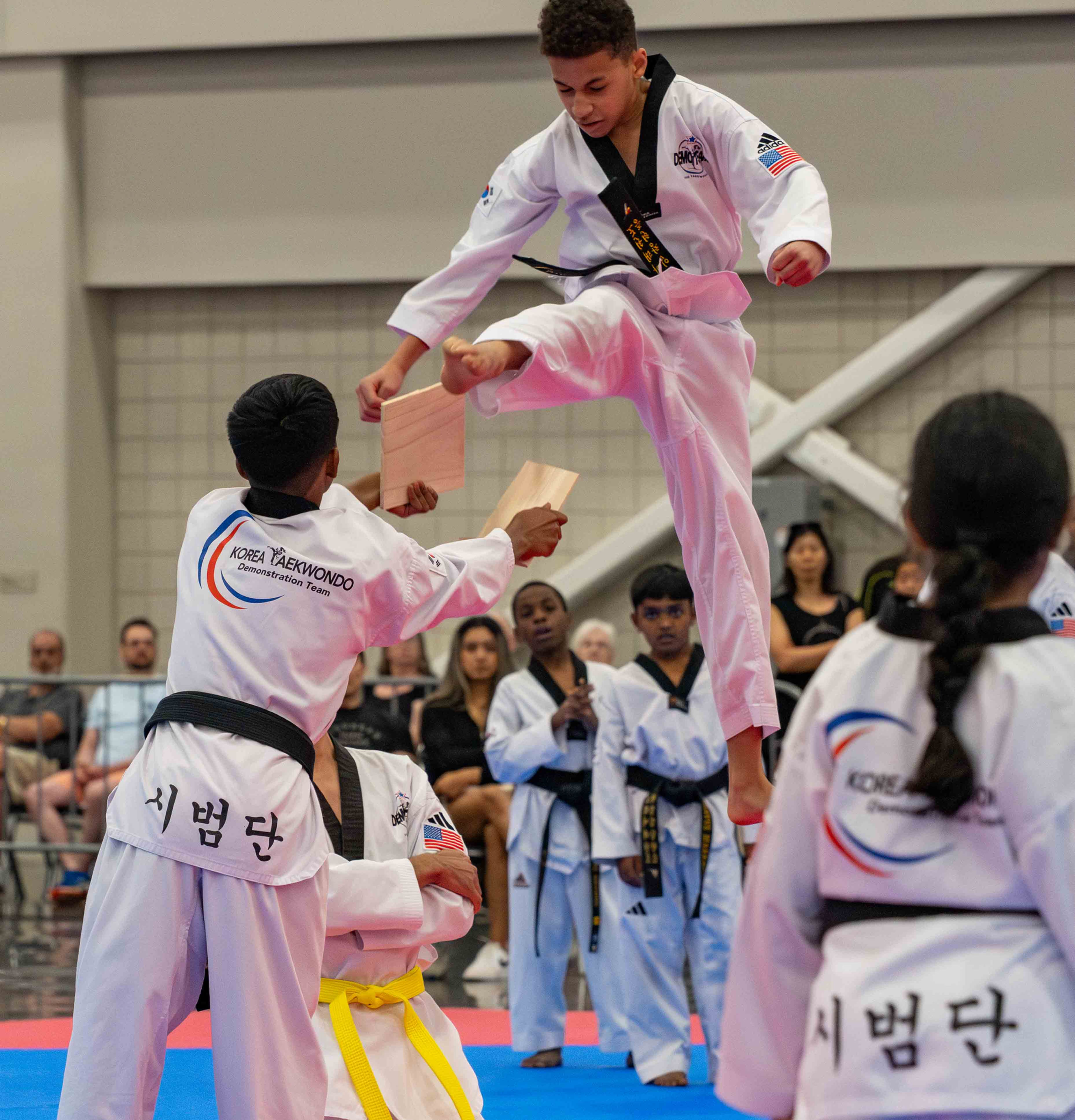 Korea TKD Board Breaker