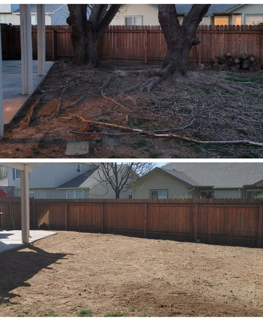 Tree Removal
