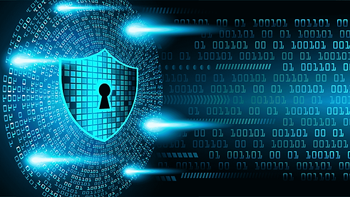 website images options.png