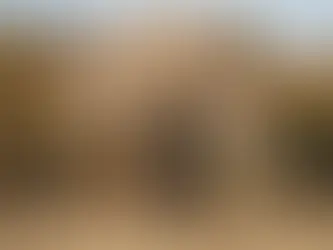 Axe, the Amazing Elephant