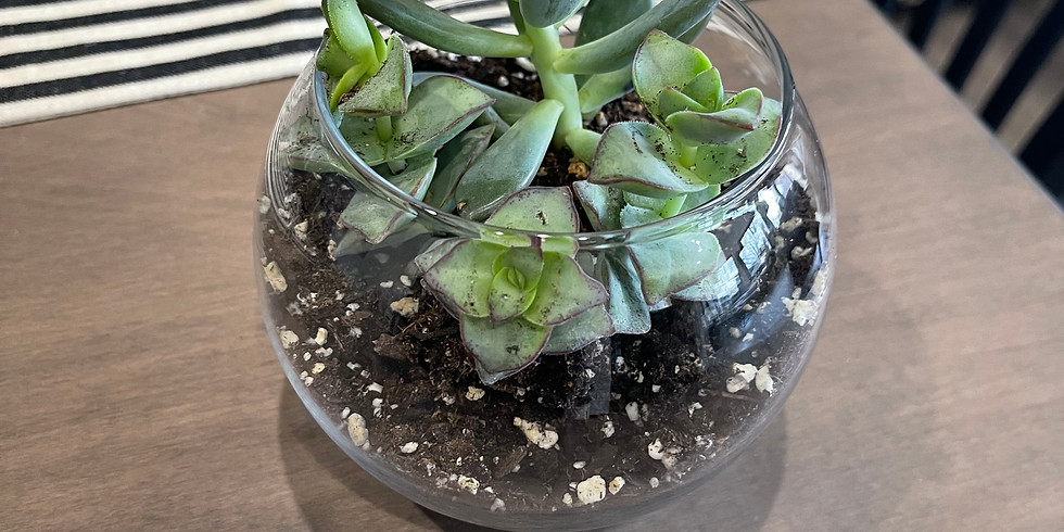 Succulent Terrarium Workshop