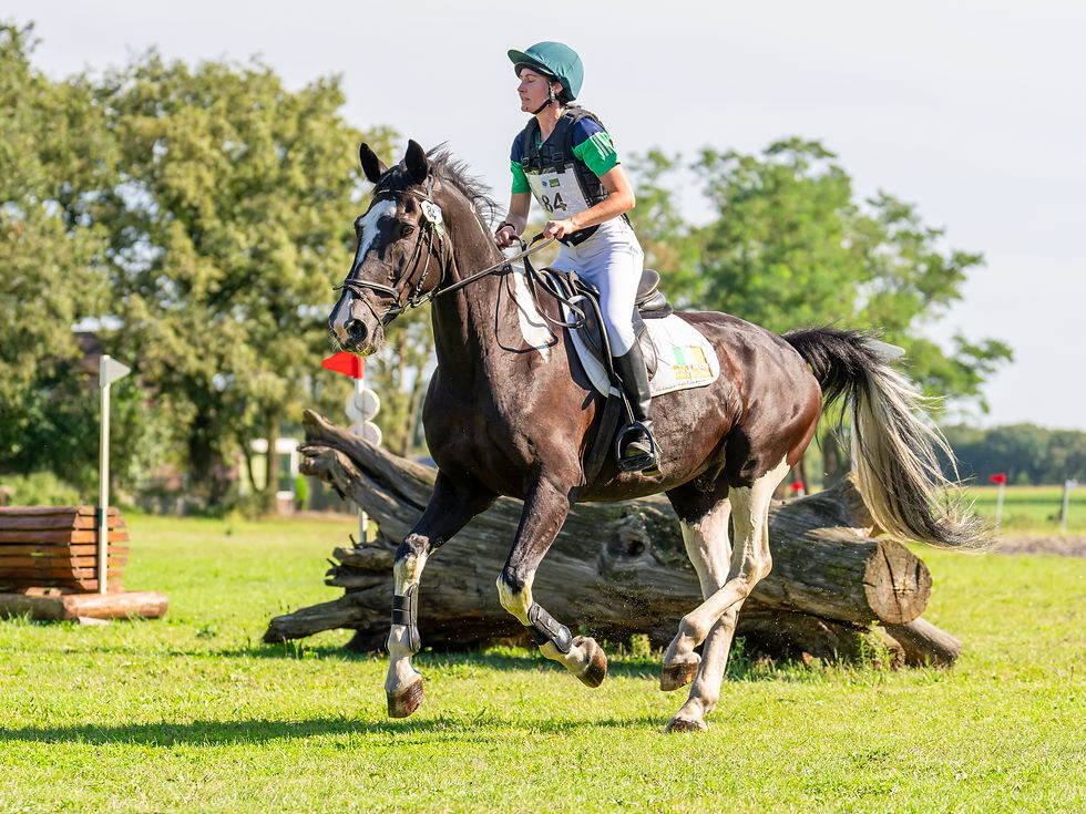 High Resolution--01346