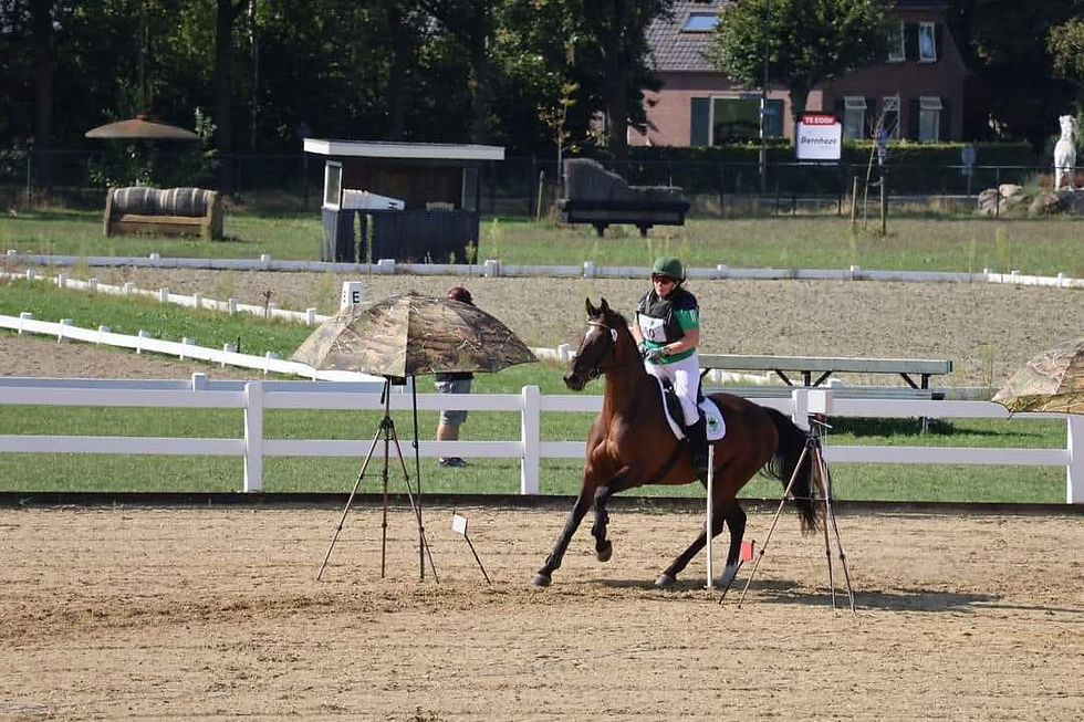 FB_IMG_1763163915016