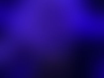 Risen WON Best Australian Short Film at AIFF