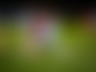 Clear opening victories for Austria and Slovenia at the Amateur National Teams NATIONS CUP 2025