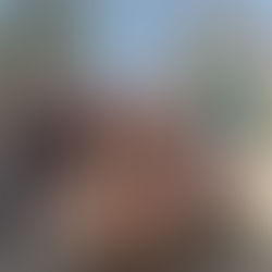 Grupo de Voluntariado Tailandia 2025