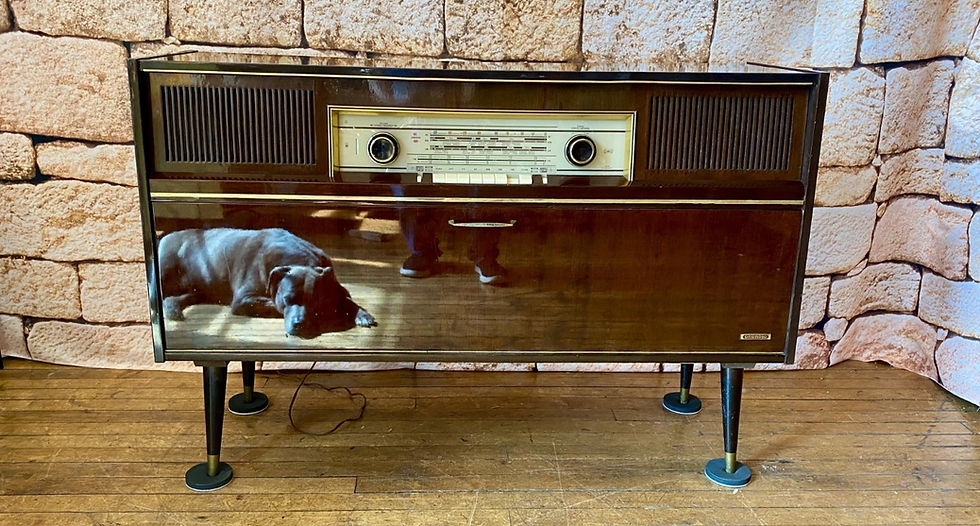 Grundig 1_edited.jpg