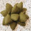 Thumbnail: Succulent Scatter Cushion