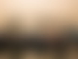 11 novembre a Venezia