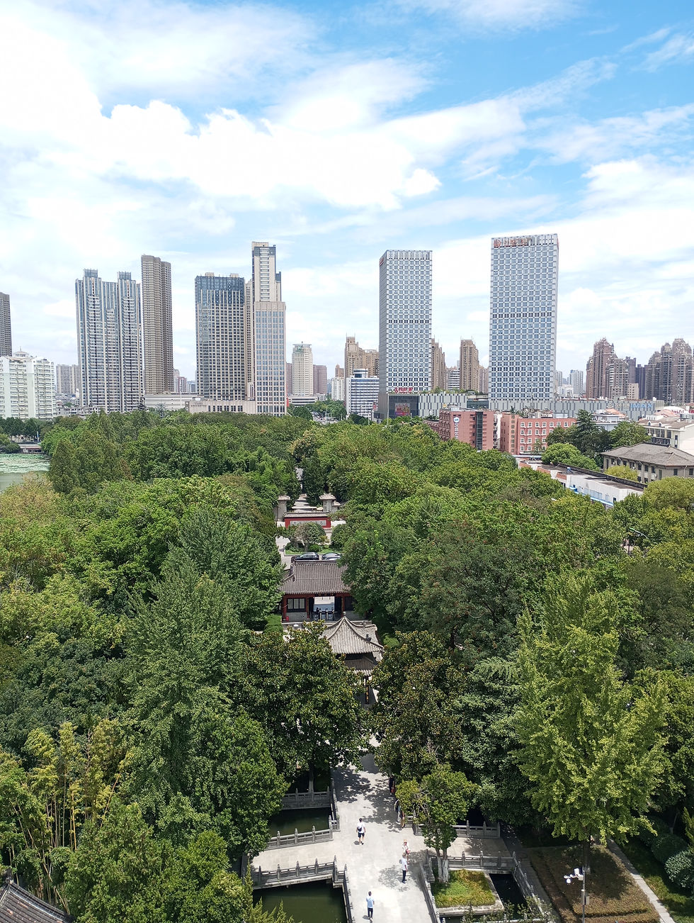 The view from the top of Qingfeng Pavilion