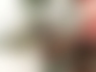 Main tenant un roll-on aux huiles essentielles de pin sylvestre devant une branche de sapin et des pommes de pin, symbole de soutien du mental et du bien-être émotionnel en hiver