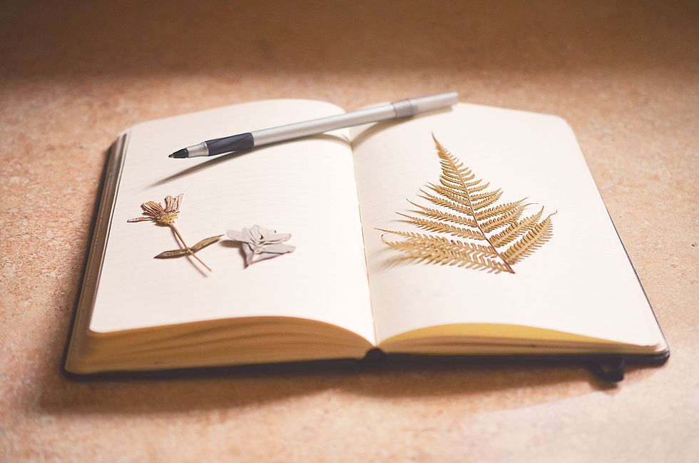 Carnet et stylo sur table avec fleurs – illustration d’un accompagnement personnalisé