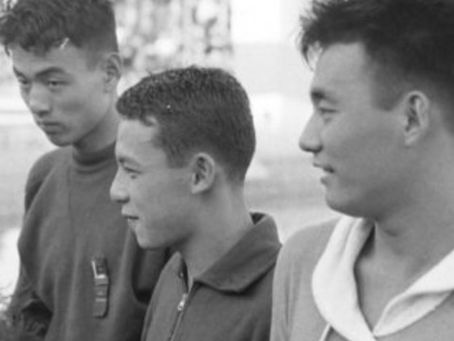 Do limão à limonada