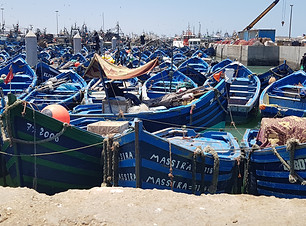 Essaouira_(4)[1].jpg