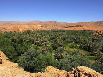 Valle del Draa (10).jpg