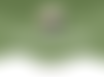 The Lessons Life Has Taught me