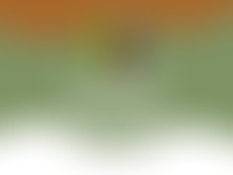 What do Bad Managers, Employees, and Puppies Have in Common?