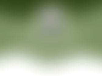 So you didn’t get the job… what now?