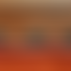 Lo que el tribunal espera del opositor