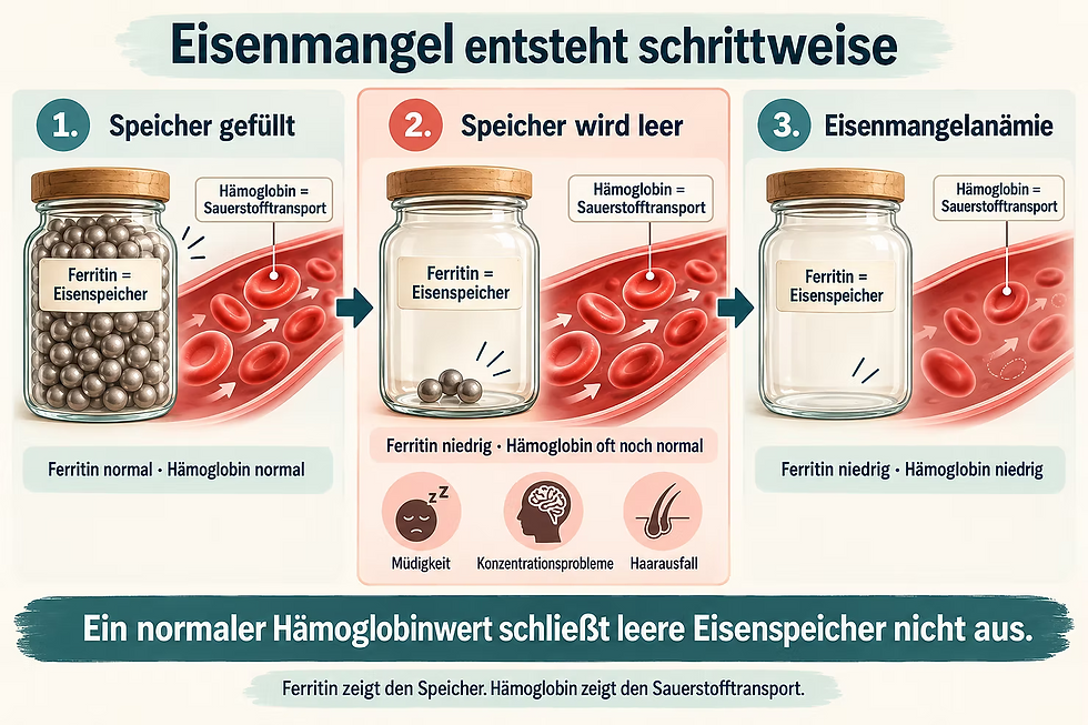 Eisenmangel, Ferritinspeicher und Symptome