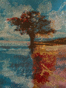 Completed by Alex