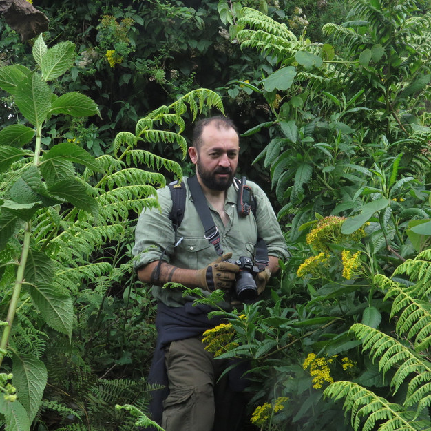 Welcome to the jungle