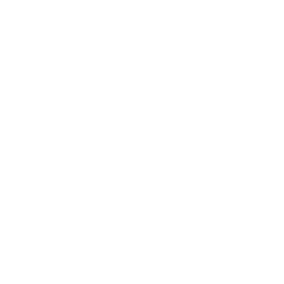vincent (3).png