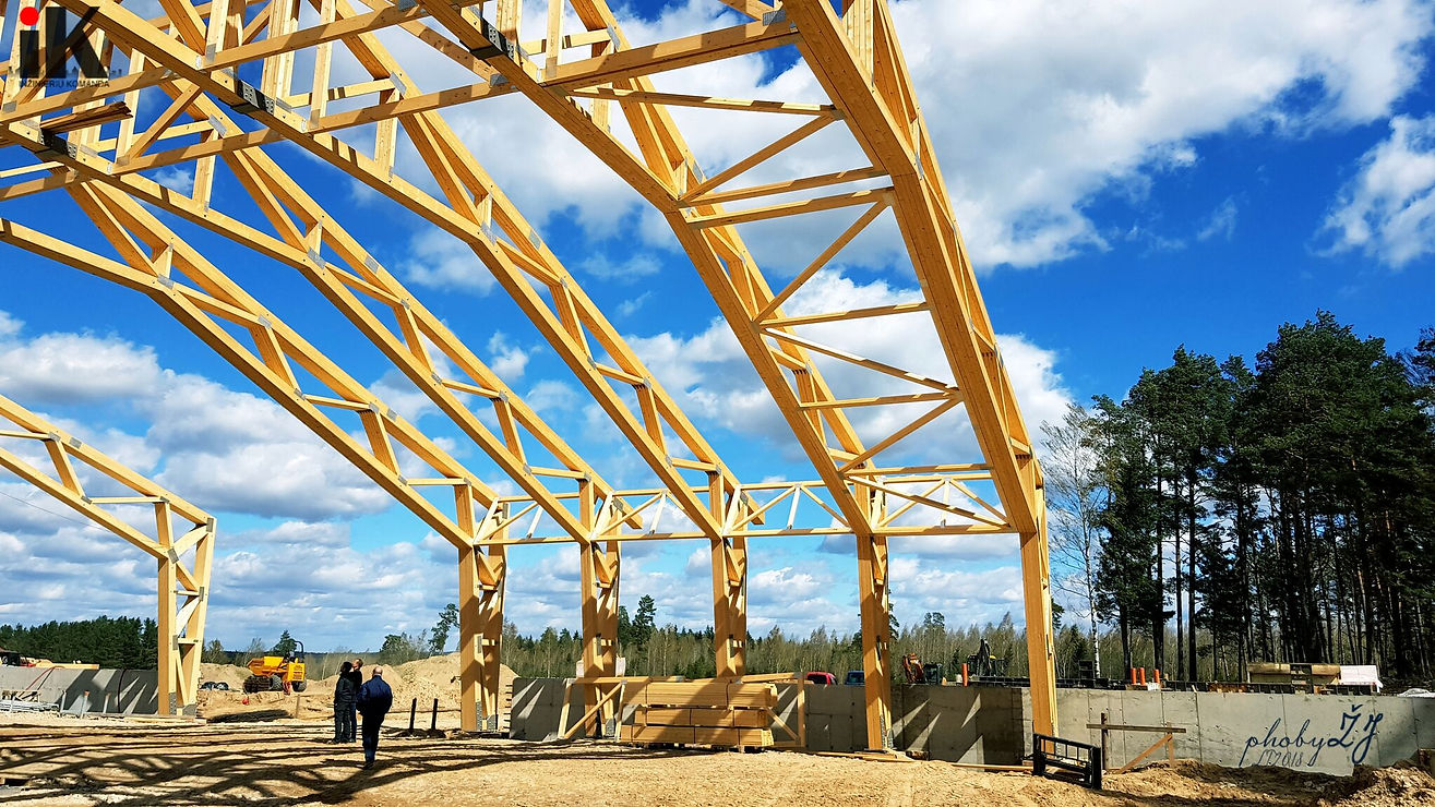 Mega Roof .jpg