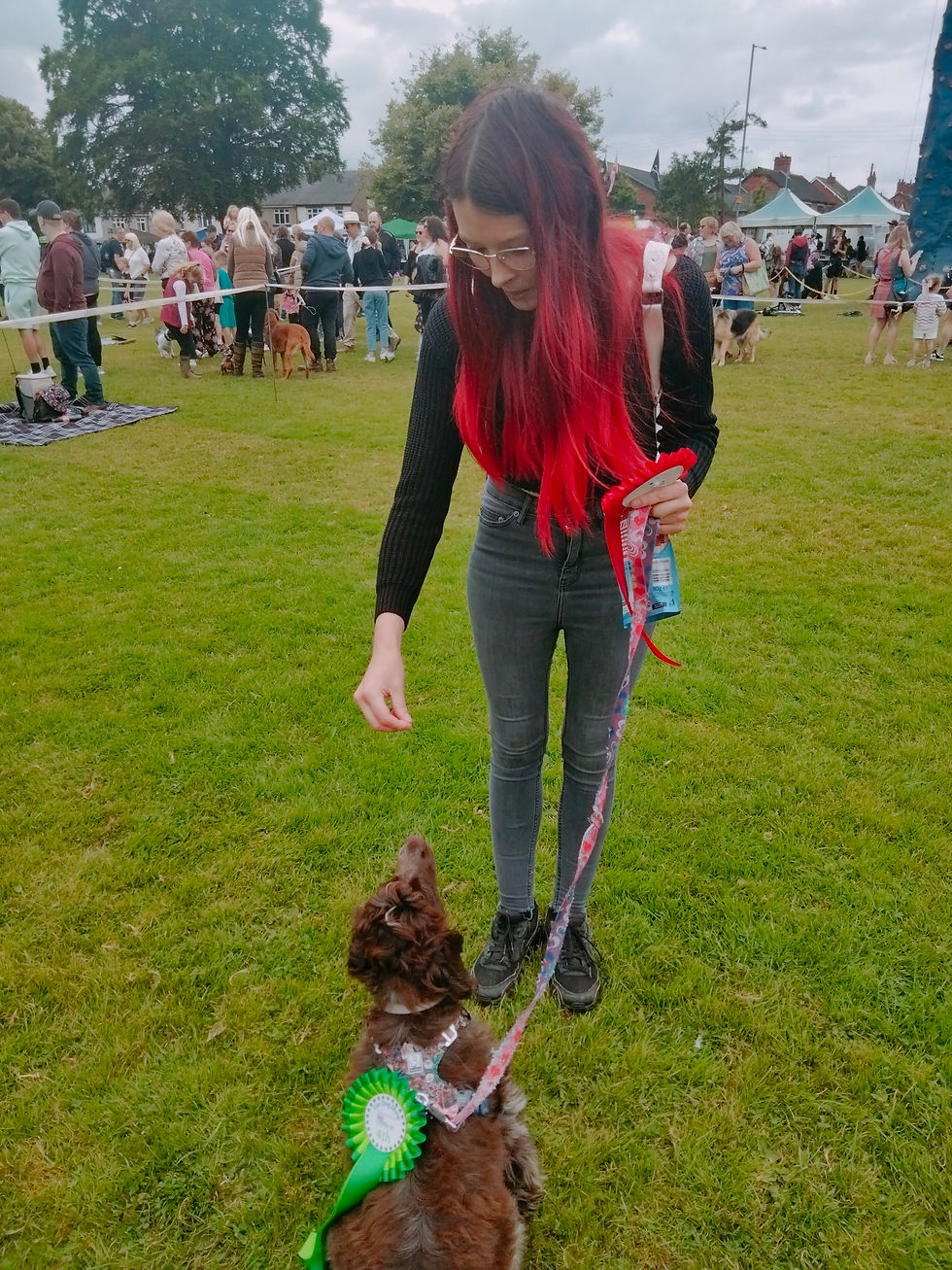 Cheadle Dog Show returns to Party in the Park