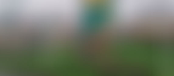 Construction Set to Start on Royal Gardens Housing Development