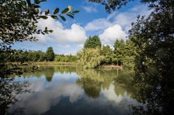 Lakeview lodge, Carp lake, Leic.
