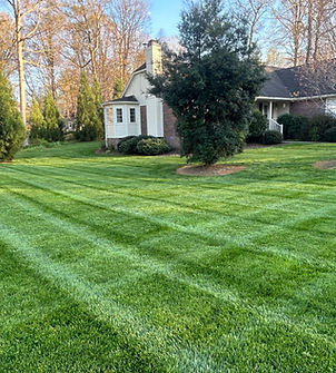 image5 (2)_edited.jpg