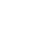 plant.png