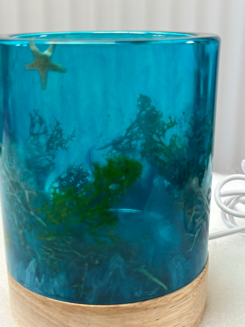 Thumbnail: Under the Sea light