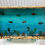 Thumbnail: Sea Life fractal burn tray