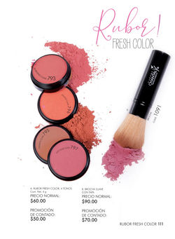 Page 111 (quality=100).jpg