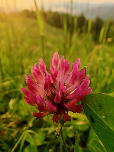 Accomodations General (10).jpg