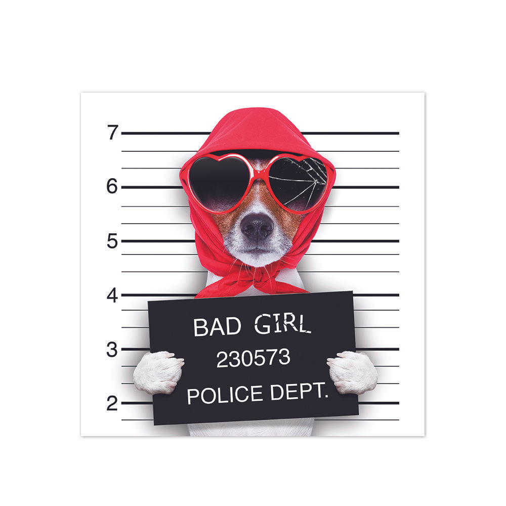 Alf Pet Lover Bad Diva Lady Dog  CCA302407070070  70 x 70 cm