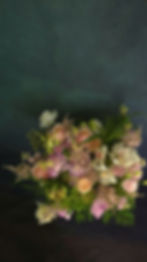 Thumbnail: Florist's choice L