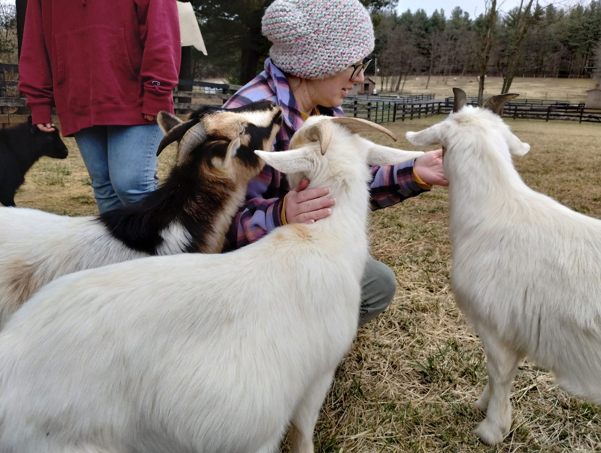 Elura & Kate with goats a photo