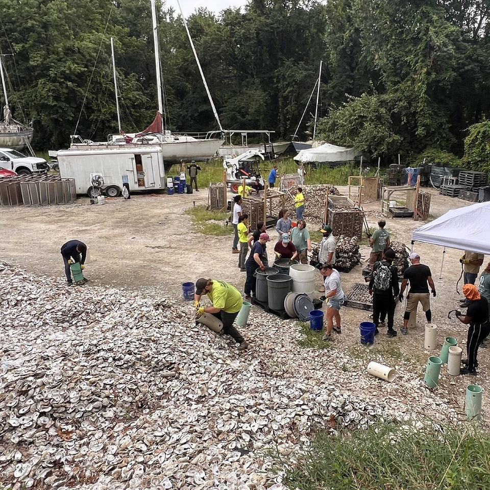 Masonville Cove Clean Up
