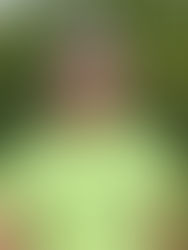 Man with short brown and beard with a hi vis shirt and nature background