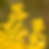 Thumbnail: Wrinkleleaf Goldenrod