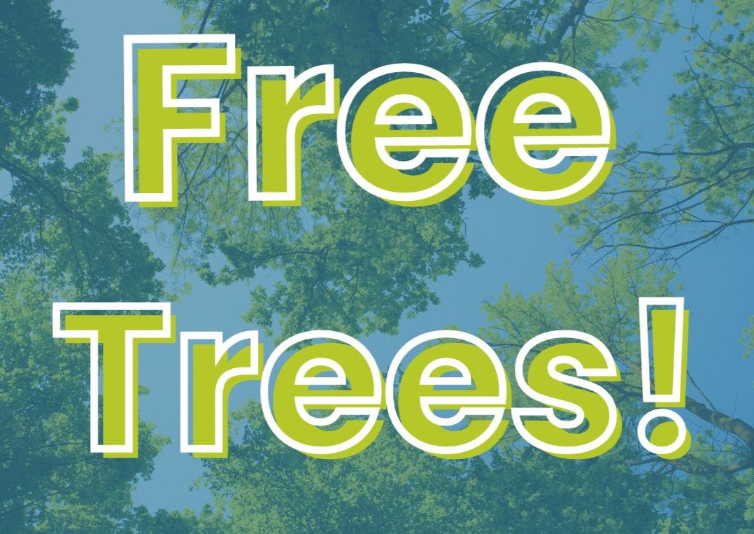Free Tree Give Away! Howard EcoWorks