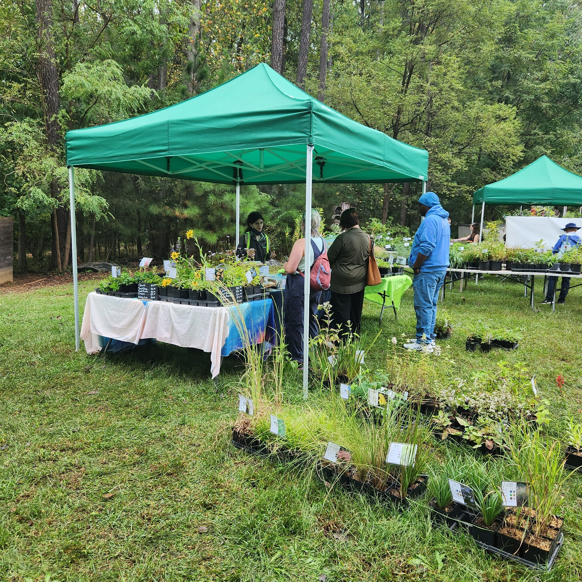 Plant Palooza