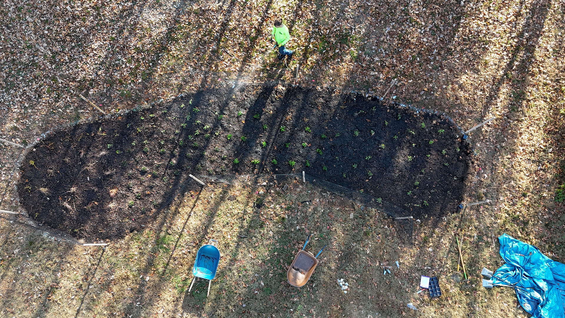 Arial view of septic garden with crew member watering new plants