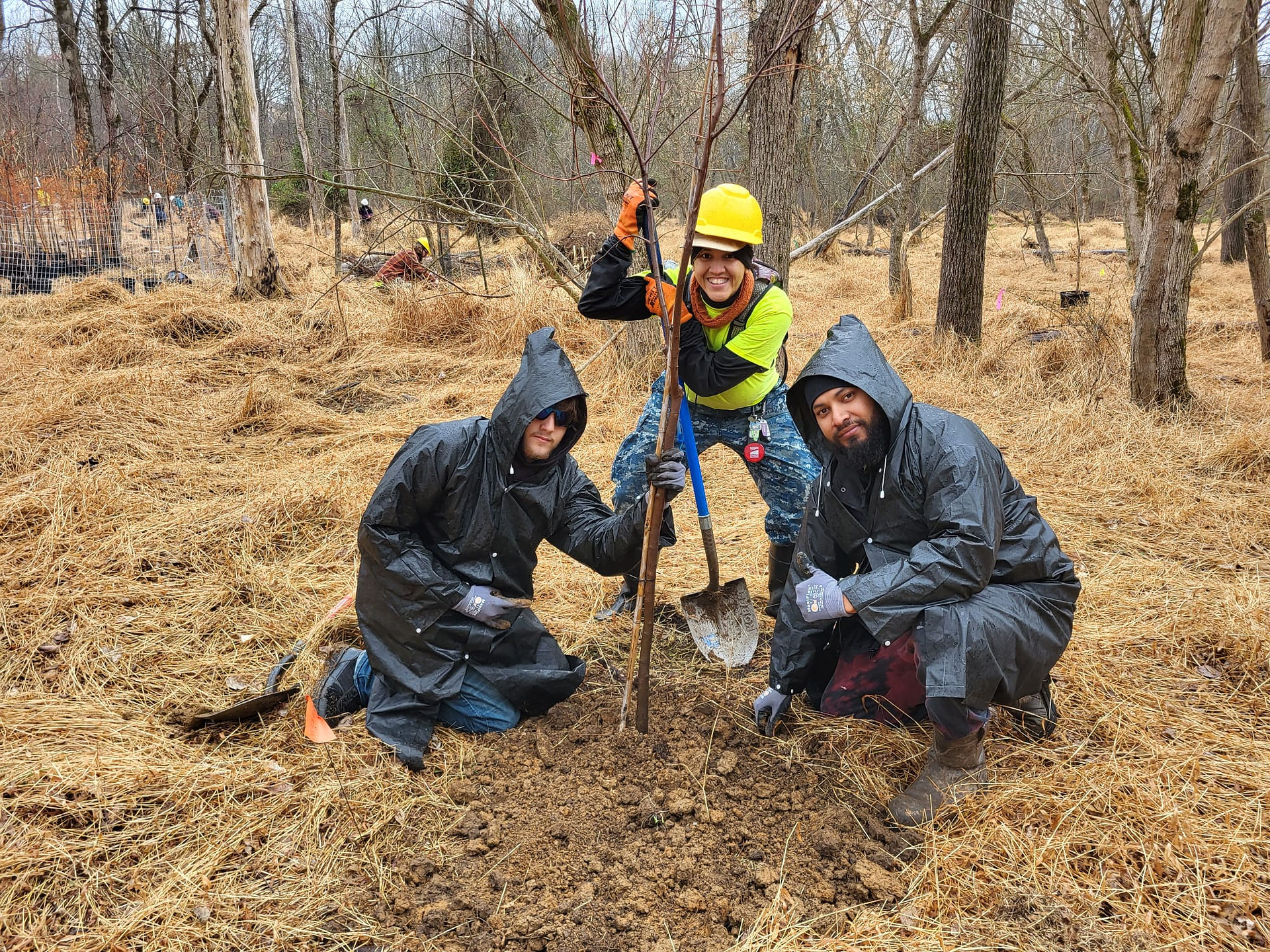 Hew crew planting a tree and smiling