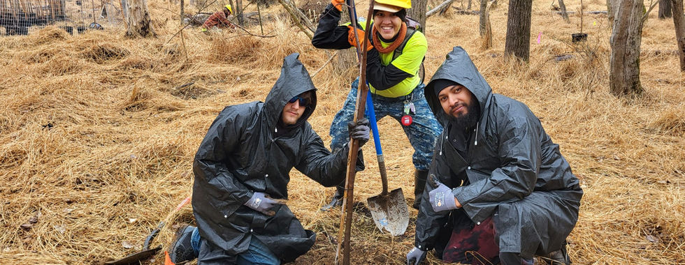 Hew crew planting a tree and smiling