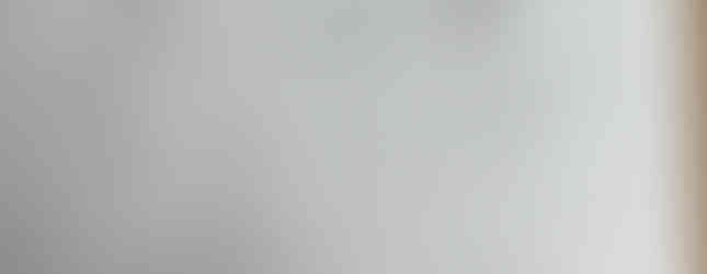 Masonville Cove Clean Up